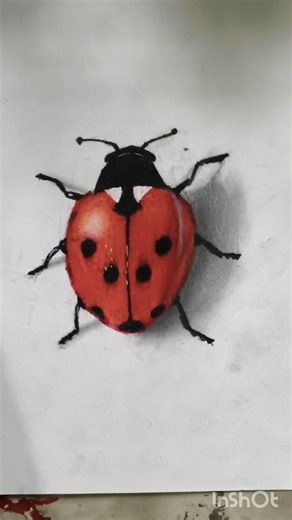 realistic ladybug 🐞 drawing #art