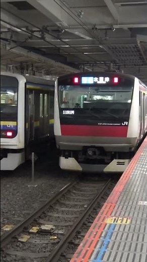 Chiba Station on a holiday night, with Keiyo Line E233 series and Boso 209 series trains lined up...