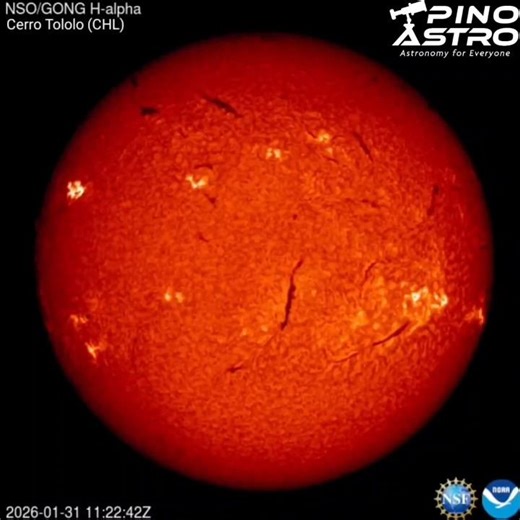 Sun in H-alpha: Jan 31, 2026 #PinoAstro