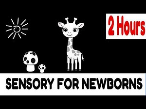 2 Hours Black & White Sensory Video for Newborns | #uk