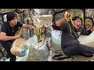 Pool Sy Bht Sara Snakes Nikal Aiy 🐍