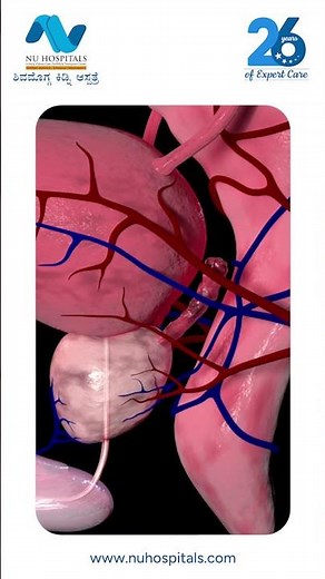 What's REALLY Causing Your Midnight Urination?