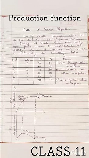 📘 Class 11 Economics Notes | Chapter – Production Function