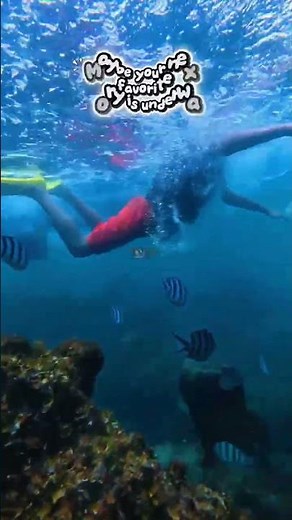 First Time Snorkeling? Start Here 🌊 Gam Ghi Reef, Phu Quoc