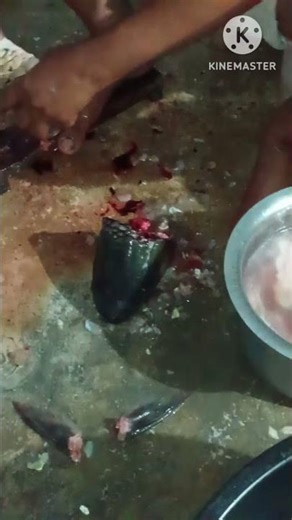 When cleaning a fish head the size of a goat's head, what parts should be kept? What parts should...