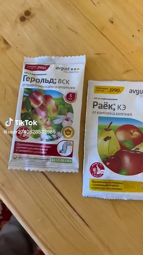 Effective Tree Care Using a Pressure Washer