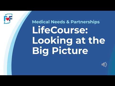 LifeCourse: Looking at the Big Picture