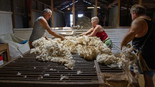 Wool scour's resurrection could save the industry, from fibre to fabric, in face of China trade tensions