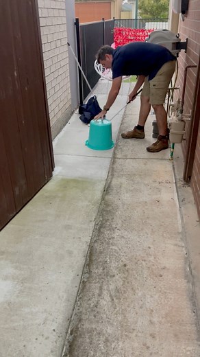 What’s under the bucket? 🪣 #snake #snakes #giffo #qld #wildlife #australia | Sunshine Coast Snake Catchers 24/7