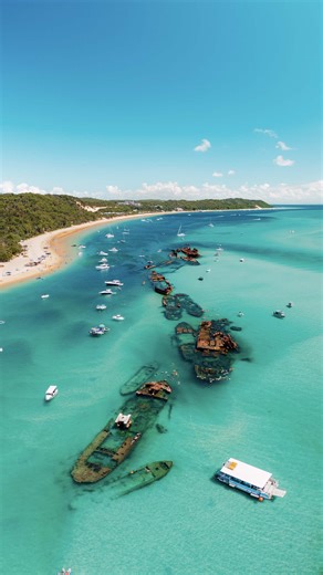 Explore Moreton Island: Your Ultimate Adventure Awaits