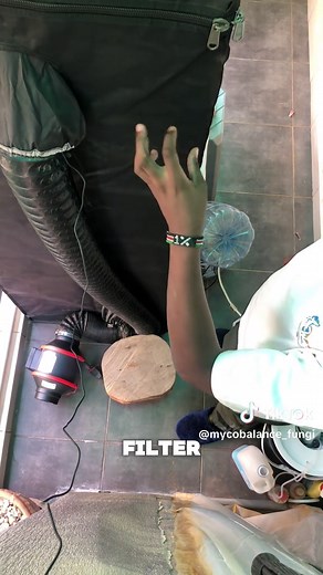 Optimal Grow Tent Setup for Consistent Mushroom Cultivation