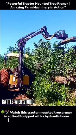 "Powerful Tractor Mounted Tree Pruner | Amazing Farm Machinery in Action"