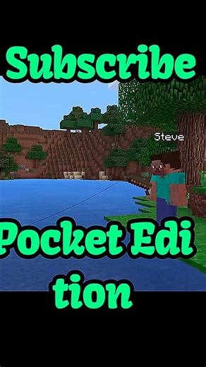 "Minecraft Java" VS "Minecraft Pocket"