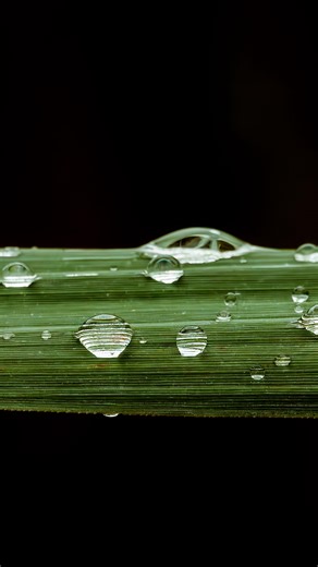 And…. He’s back! Ty wants to do another 30 day challenge to share some new images he got since the last one. Follow him along and enjoy! Here’s day 1 📷 #youngartists #youngphotographer #wildlifephotographer #photochallenge #naturephotogtaphy #sonycybershot #photochallenge #creativephotographyideas #naturelovers #kidsinnature | Tyler’s creations