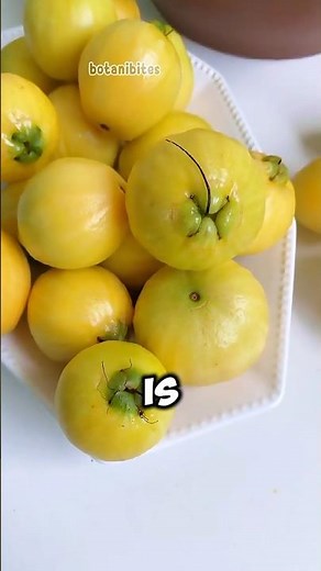 Rose Apple: The Tropical Fruit That Smells Like a Rose