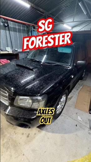 SG forester still knocking!