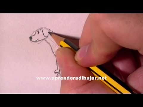 How to draw a dog step by step - Things to Draw