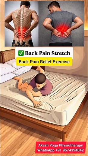 🔥Back Pain Relief at Home🏠 | Best Exercises for Back Pain at Home