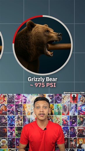 37K views · 170 reactions | Animals vs Humans: Bite Force  Think humans have strong jaws? 醴 Think again! Check out which animals can crush with unbelievable bite force!  #reelsvideo #biteforce #animals #human #psi #wildanimals #wildlife #fact #jollyforever | JollyForever | Facebook