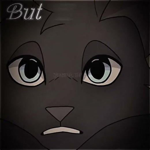 [#feathertail & #crowfeather] FOR @FalcontailWC (quality is ehh, idk what happened-)