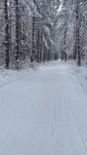 3K views · 52 reactions | Trail Report from Rolling Hills Snowmobile & ATV! Trails are in excellent condition with the latest snowfall! Ride safe and ride right! | Rolling Hills Snowmobile & ATV Club | Facebook