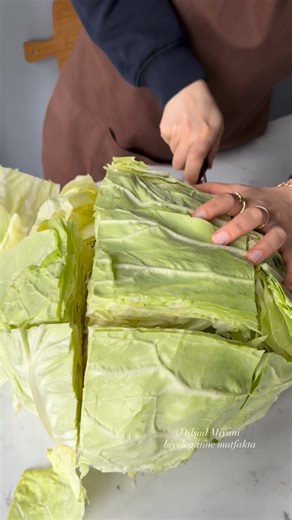 Dilşad MIYANI KARAKUŞ on Instagram: "Mevsimin En güzel sebzesi olabilirmi ? 😍 Çocukken hiç sevmezdim😅 hep yaprak dolma isterdim. Şimdi ne kadar haksızlık ettiğimi anlıyorum 🤭 Sizler nasıl yapıyorsunuz? Ben hep aynı yapmam ama bence her haliyle lezzetli oluyor😌 Gerekli malzeme listesi: 1 adet büyük boy sarmalık lahana 500 gr orta yağlı dana kıyma 2-3 yemek kaşığı pirinç 1 adet kapya biber 2 adet kuru soğan Bir tutam maydanoz ( ben kişniş de kullandim ) Çok az kekik Tuz Karabiber Pulbiber Not: