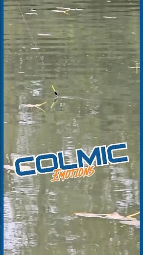🔵🟠 𝗖𝗼𝗹𝗺𝗶𝗰 𝗘𝗺𝗼𝘁𝗶𝗼𝗻𝘀 🟠🔵 #fishing #colmic #pesca #fish #emotional