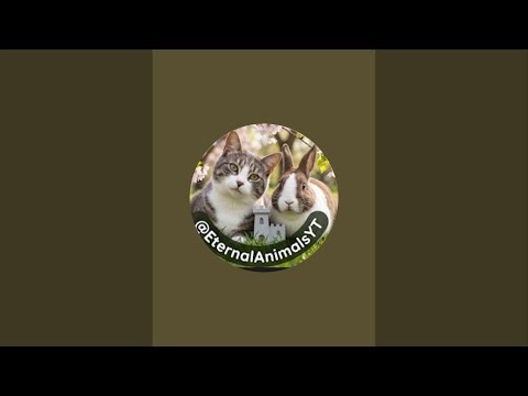 Eternal Animals is live!