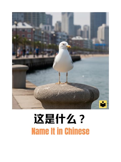 Learn Mandarin: Essential Vocabulary for Beginners