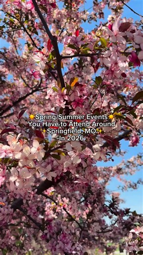 Check out these spring/summer events coming to Springfield, Missouri and the surrounding area this year! https://www.springfieldmo.org/blog/post/dont-miss-these-top-20-summer-events-in-springfield-missouri/ #springfieldmo #springfieldmissouri #lovespringfield #417 #thatsmymo | I Love Springfield, MO!