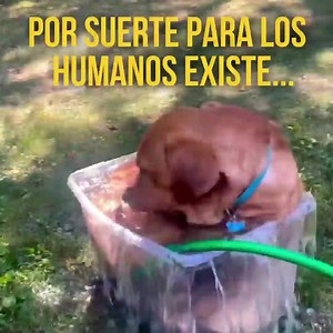 Que no te gane el calor, refrescate con #Secco | Secco