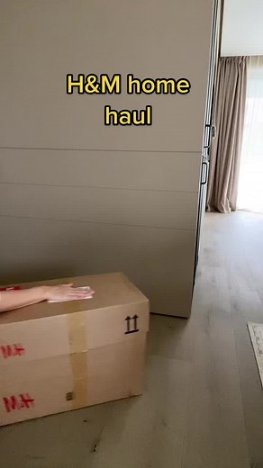 mini haul 🛋️ #homegoods #hmhaul #hmhomehaul #hmhomeinspo #whatigot #homehaul #homedecor