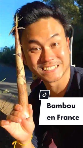 Recette de salade de pousses de bambou en France