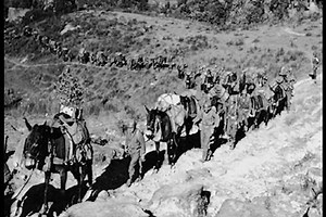 152 reactions · 53 shares | USASOC Update - MARS Task Force memorial stone unveiled on Fort Bragg | U.S. Army Special Operations Command | Facebook