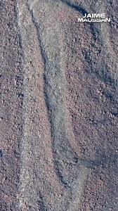 374K views · 15K reactions | El descubrimiento de nuevas líneas de Nazca revela misteriosas figuras geométricas y animales, ampliando nuestro conocimiento sobre esta antigua cultura peruana.  ¡Suscríbete a nuestro canal de Youtube: MaussanTV! | Jaime Maussan | Facebook