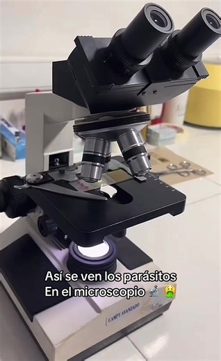 Descubre Parásitos en el Microscopio 🔬