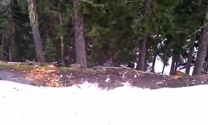 8.2K views · 113 reactions | Axle Twisters on Reels | Facebook