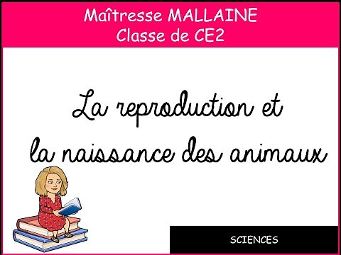 SCIENCES : La reproduction et la naissance des animaux