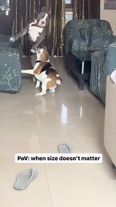 1.6M views · 7.9K reactions | Doodle on Reels | Facebook