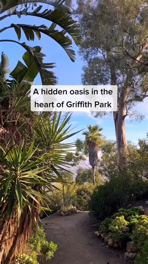 1.9K views · 27 reactions | Eine kleine Oase mitten in Los Angeles: Dante's View im Griffith Park ⛰️, hier habt ihr neben wunderschönen Blumen und Kolibris auch noch einen fantastischen Blick von oben auf das @GriffithObservatory.  Übrigens: Der Eintritt zum Griffith Observatory und Griffith Park ist frei. ️ Discover Los Angeles  @valevitaly auf IG | Visit California | Facebook