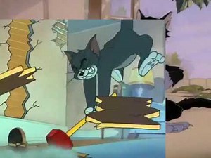 Tom and Jerry (ytp)