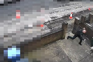 Watch: Police officer attacked by dog in north Belfast