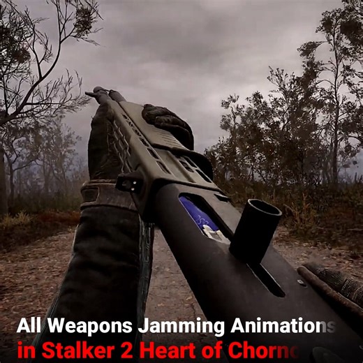 13K views · 270 reactions | Stalker 2 Heart of Chornobyl - Weapons Jamming Animations  | Anonymousyt | Facebook