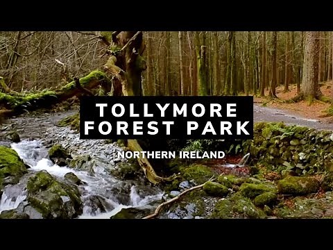 Tollymore Forest | Tollymore Forest Park | Tollymore | Northern Ireland | Newcastle | Co Down