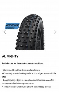 Schwalbe Studded Al Mighty 4.8 Tire
