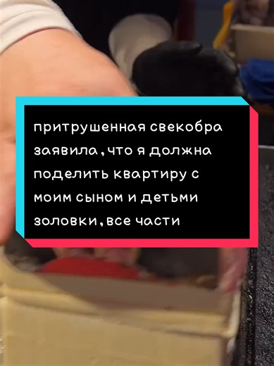 звук не мой притрушенная свекобра заявила,что я должна поделить квартиру с моим сыном и детьми золовки,все части . . . . . . . . . . . #свекровь #муж #fypシ #fyp #золовка