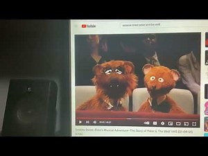 Sesame Street Baby Bear PBS