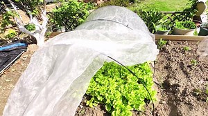 72PCS Garden Hoops Grow Tunnel Kit - 8FT Rust-Free Fiberglass Arches With Plastics Coating (12 Sets) for Raised Beds, Plant Support, Shade Cloth Net, Insect Netting & Row Cover Protection