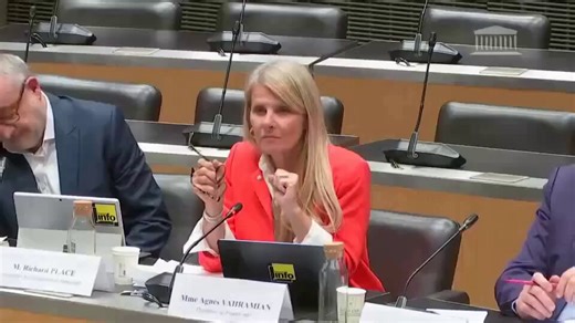 @franceinfo #franceinfo pourquoi vous vous acharnez comme ça sur moi @franceinfo ? est-ce que c'est parce que @AgnesVahramian n'a pas supporté que je diffuse cet extrait ou elle se vente d’empêcher ses propres journalistes de qualifier de nazi le membre d'un groupuscule nazi ?