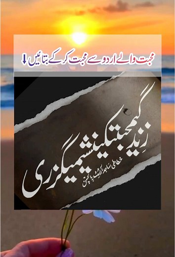 #creatorsearchinsights #fypシ #foryoupage #poetry #viral #growth #unfreezemyacount